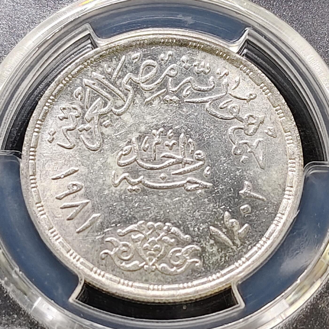 【全场包邮】纯粹捡漏拍487场（免费代拍第24场）