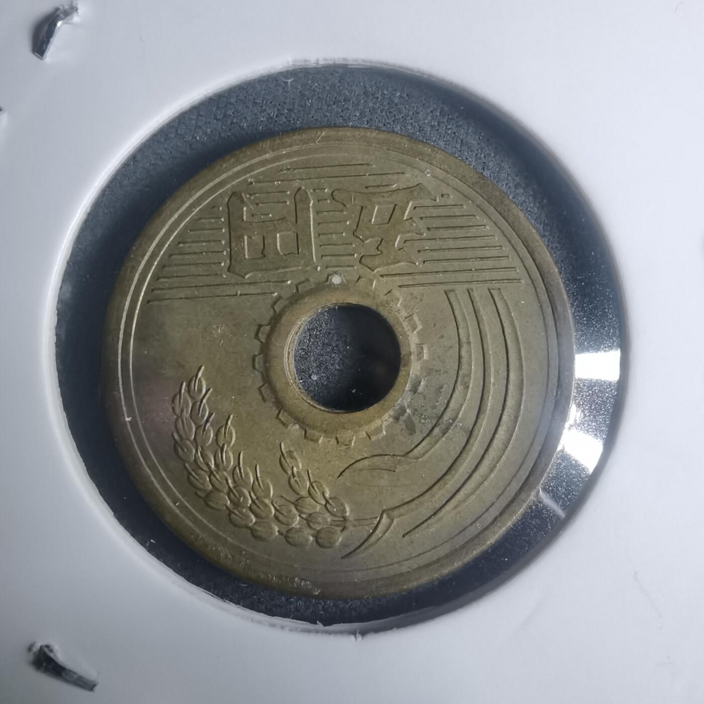 沼泽如烟--第930场