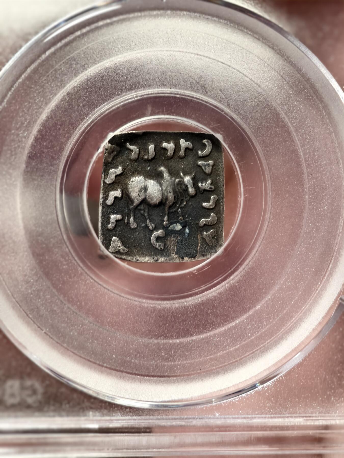 抚柳草堂-首期章牌钱币 限时免佣 满百包邮 放漏专场 古希腊-巴克特里亚印度 阿波罗多托斯一世 大象与瘤牛打制方形银币