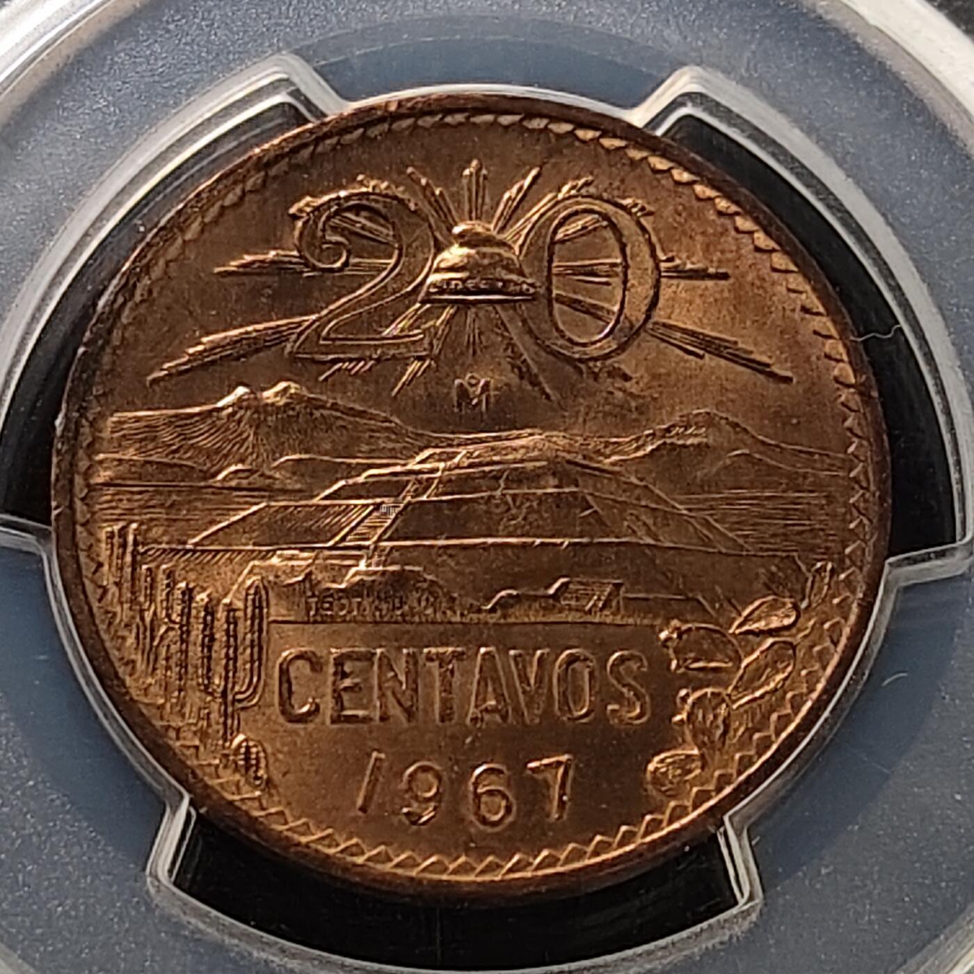 【全场包邮】纯粹捡漏拍487场（免费代拍第24场）