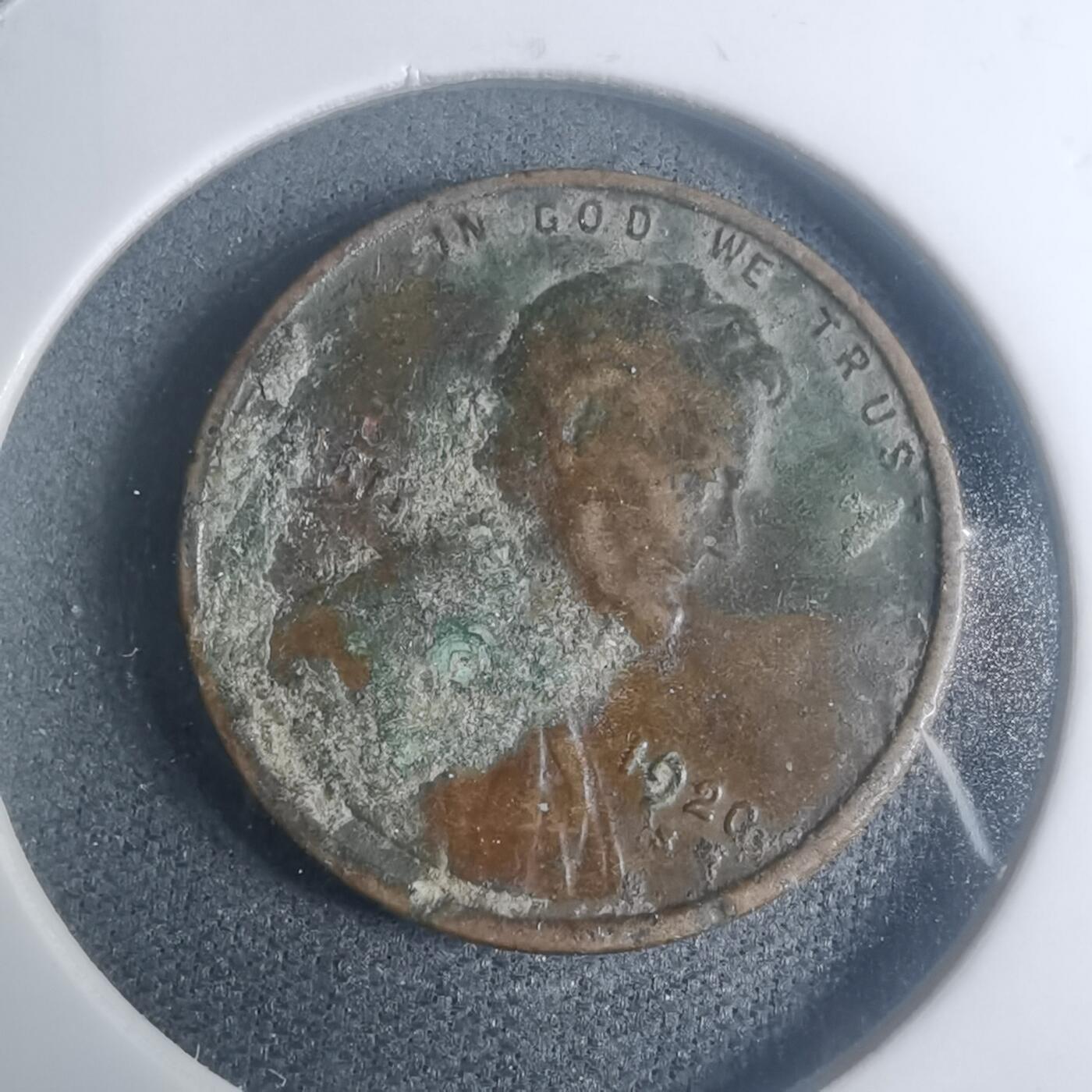 沼泽如烟--第930场