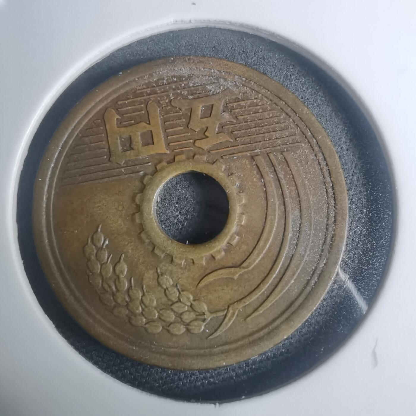 沼泽如烟--第930场