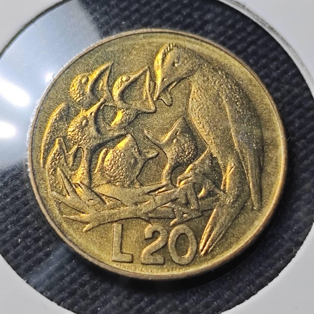 KK钱币收藏小铺 第379期  2月预留时间 周末发货