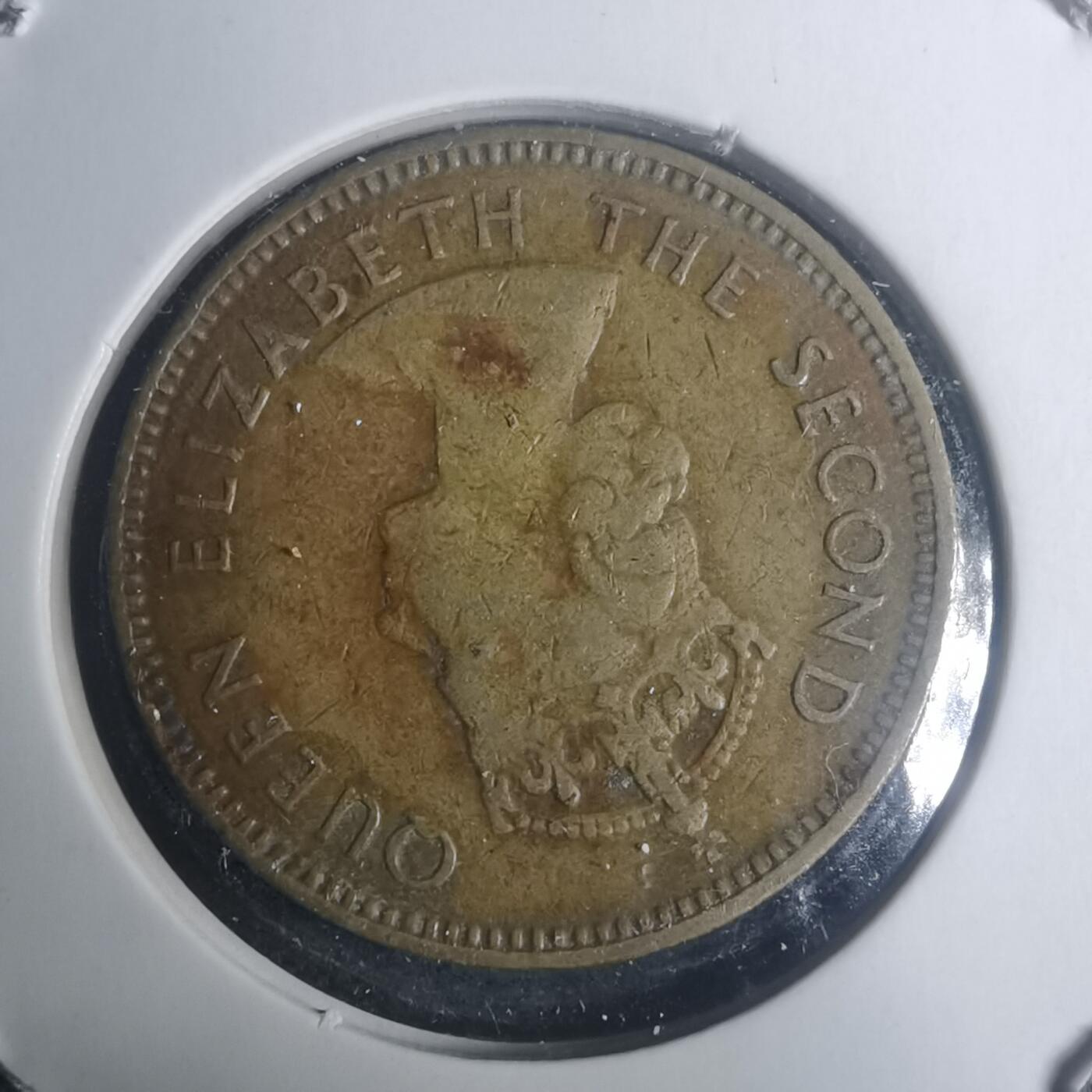 沼泽如烟--第930场