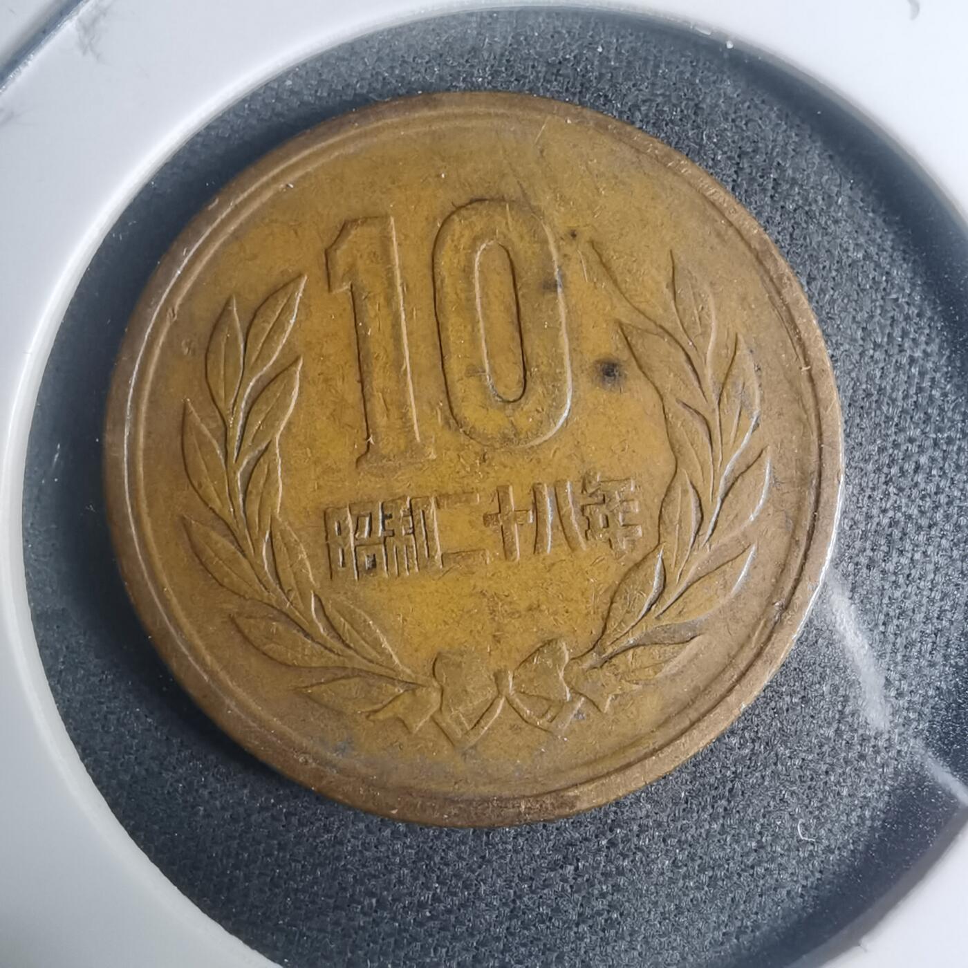 沼泽如烟--第930场