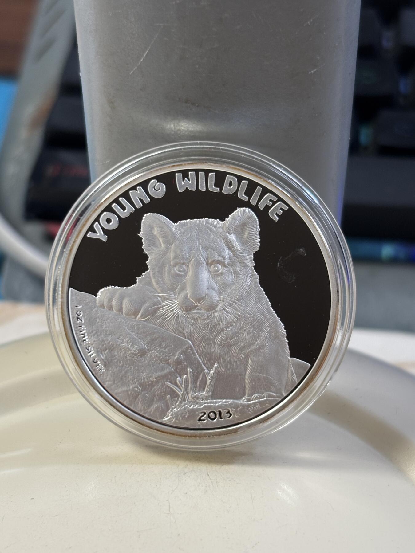 第185期拍卖 库克2013年动物幼崽系列1狮子1盎司精制纪念银币，999银，发行1000枚【银价448】