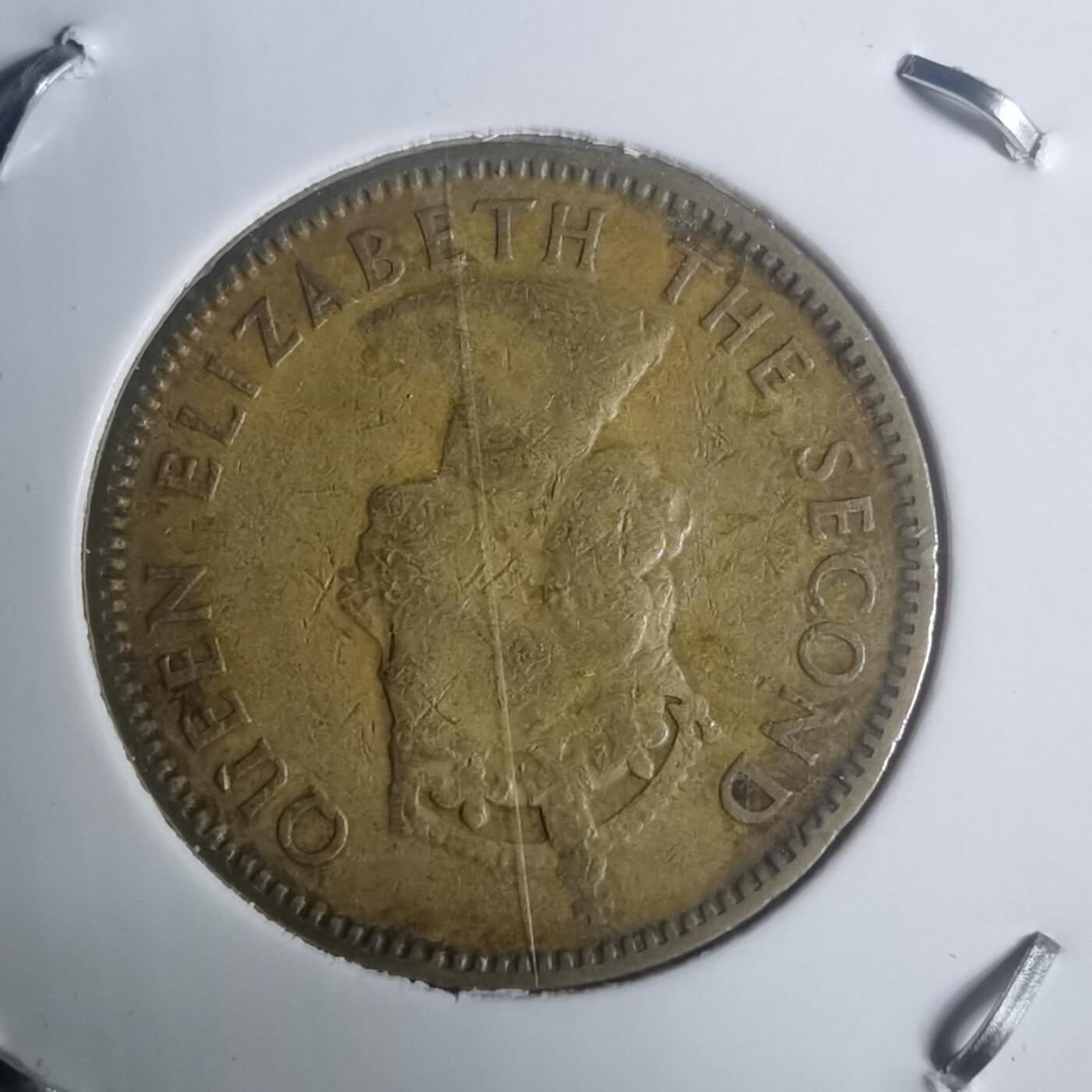 沼泽如烟--第930场