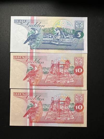 蒂克钱币-第51场 外国平价纸币最后一场 - 苏里南 巨嘴鸟 纸币 3枚 全新UNC