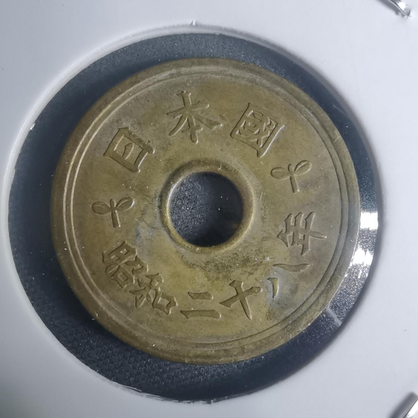 沼泽如烟--第930场