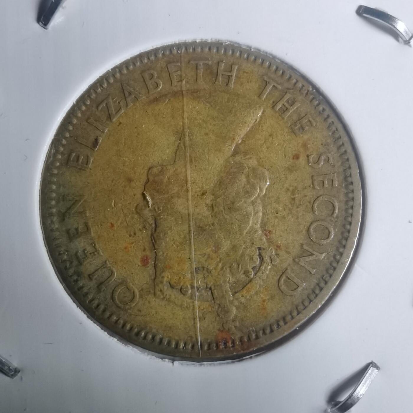 沼泽如烟--第930场