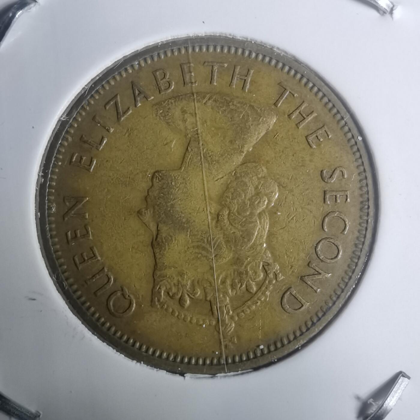 沼泽如烟--第930场