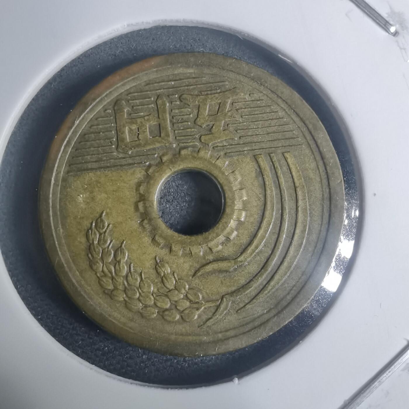 沼泽如烟--第930场