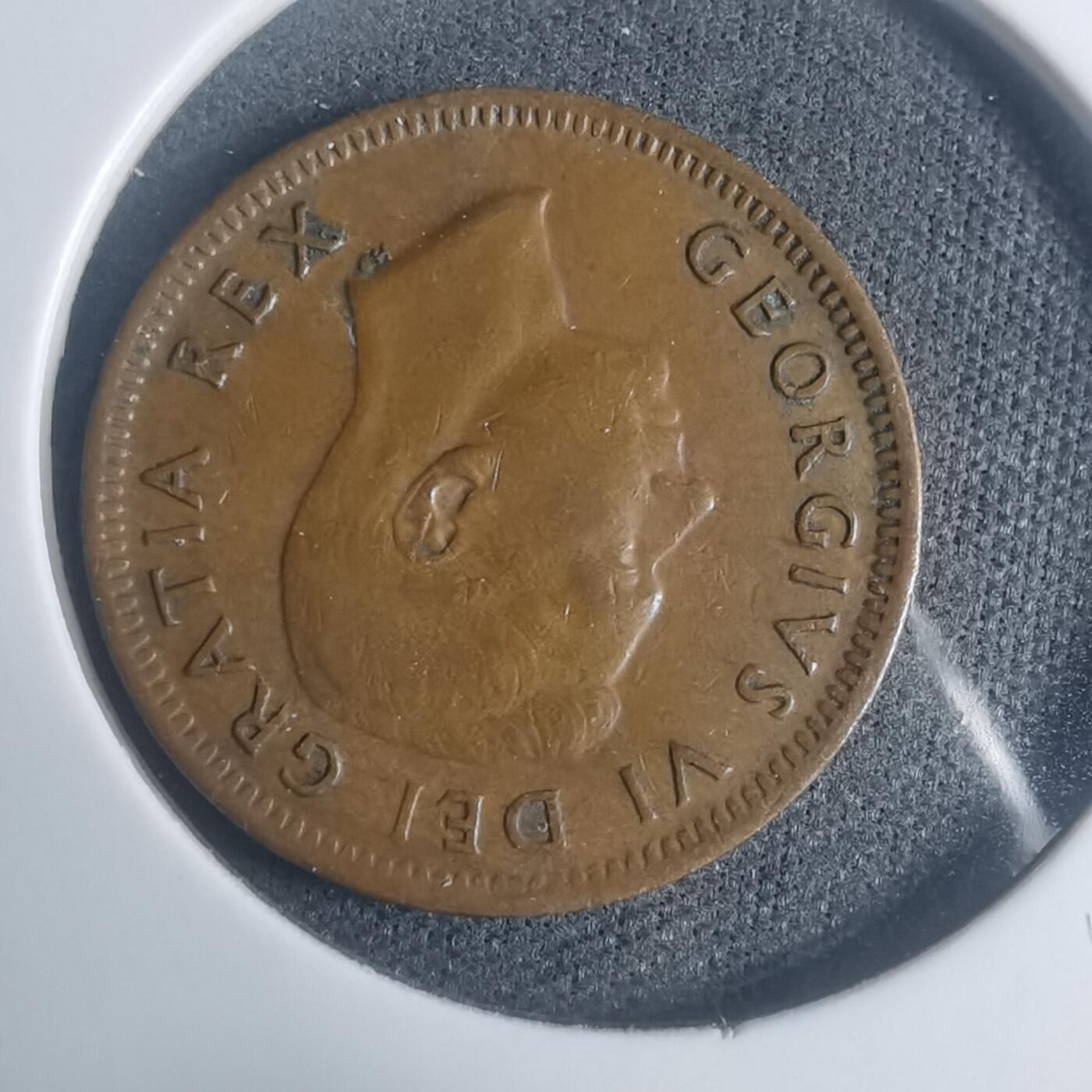 沼泽如烟--第930场