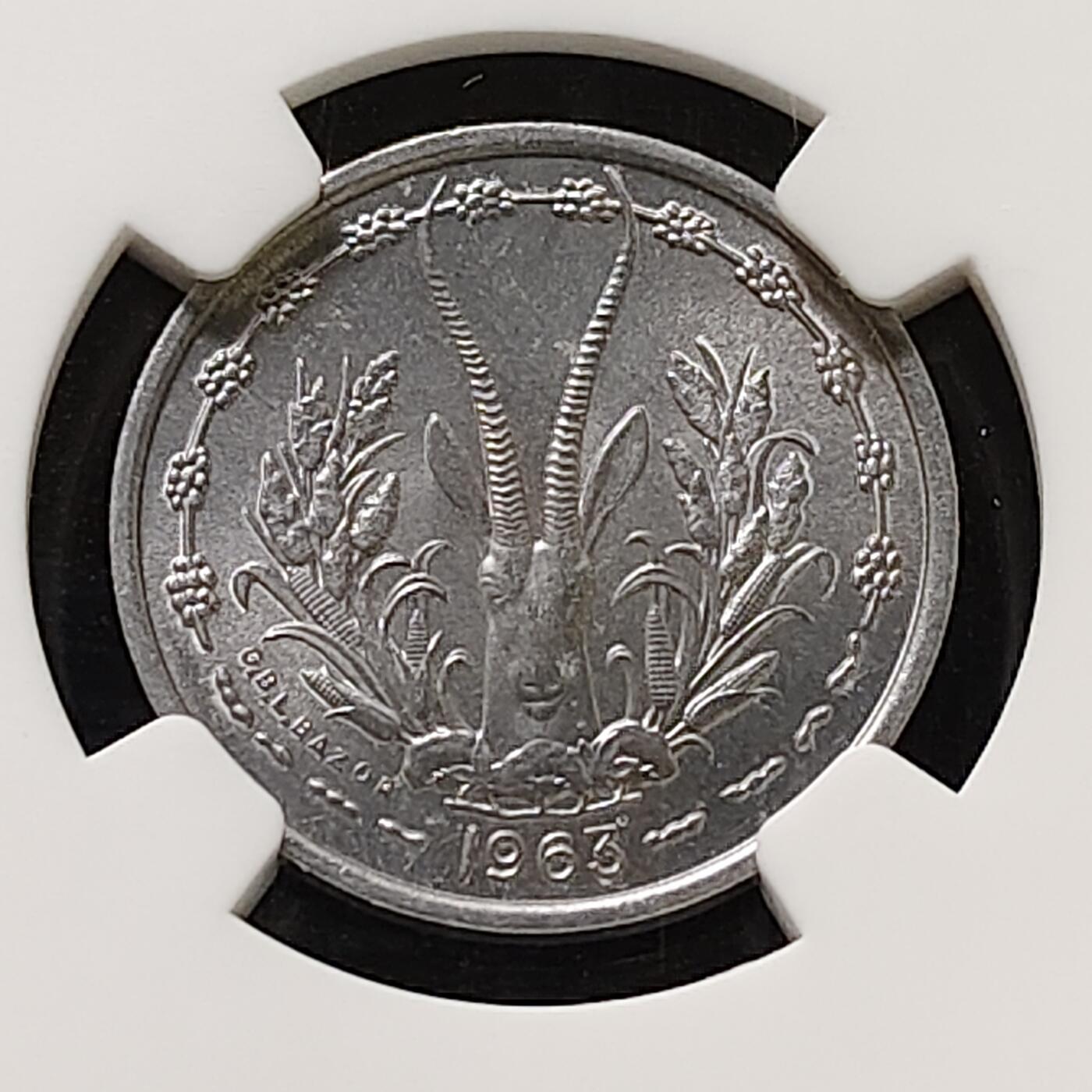 【全场包邮】纯粹捡漏拍487场（免费代拍第24场）