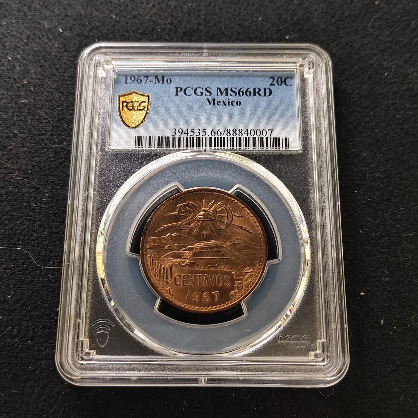 【全场包邮】纯粹捡漏拍487场（免费代拍第24场）