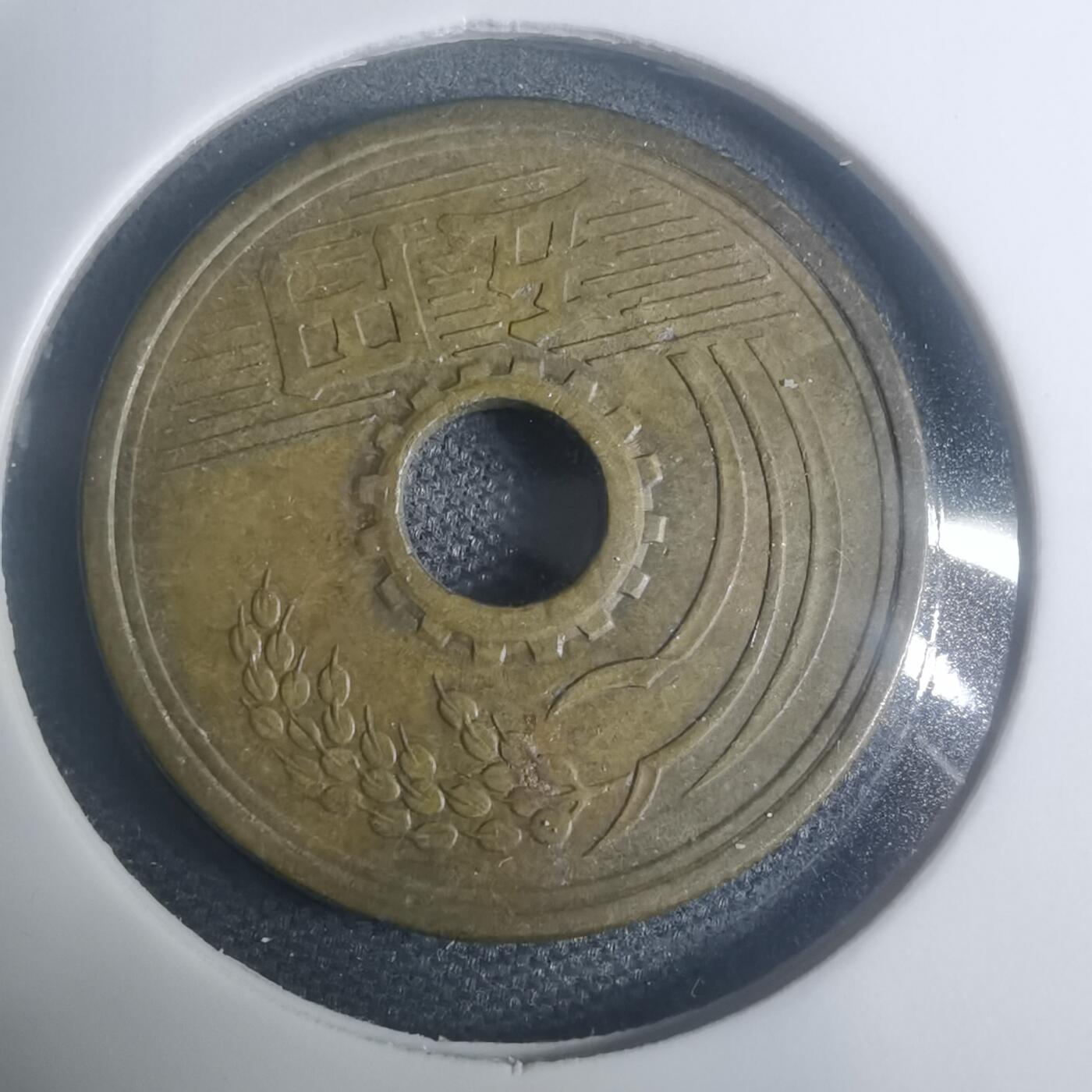 沼泽如烟--第930场