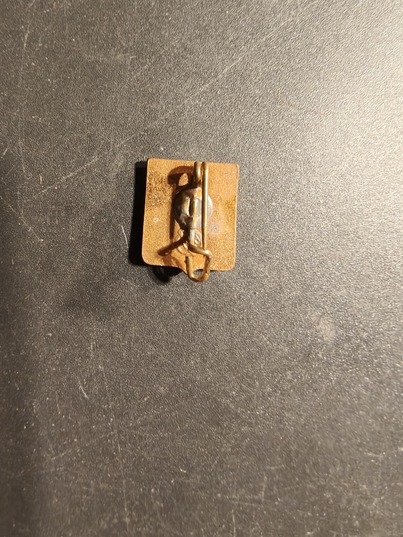 老王徽章第169期 德国红十字会青年会证章