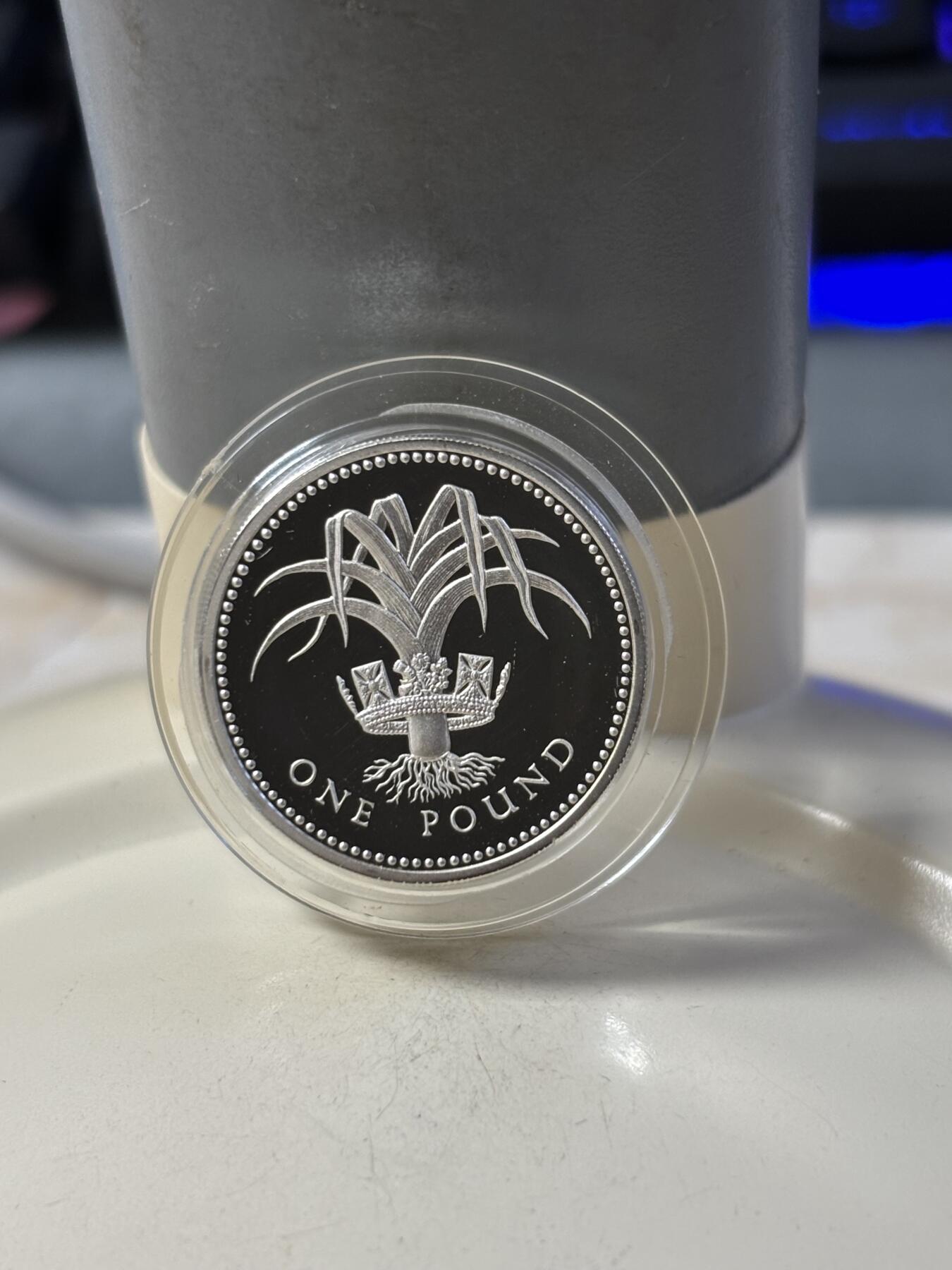 第185期拍卖 英国1985年 王冠系列-韮葱和王冠（威尔士）1英镑精制加厚纪念银币 19克.925银 发行量：15000枚