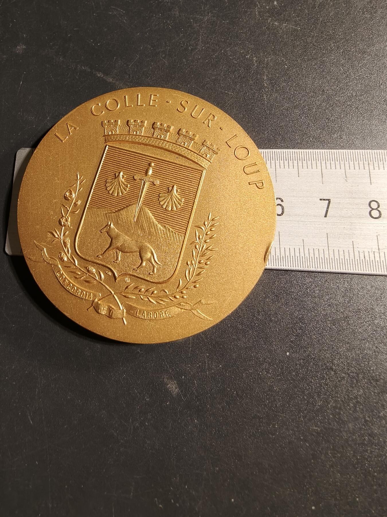 老王徽章第169期 法国东南部阿尔卑斯滨海省卢普河市镀金大铜章     直径58mm.    重量110g