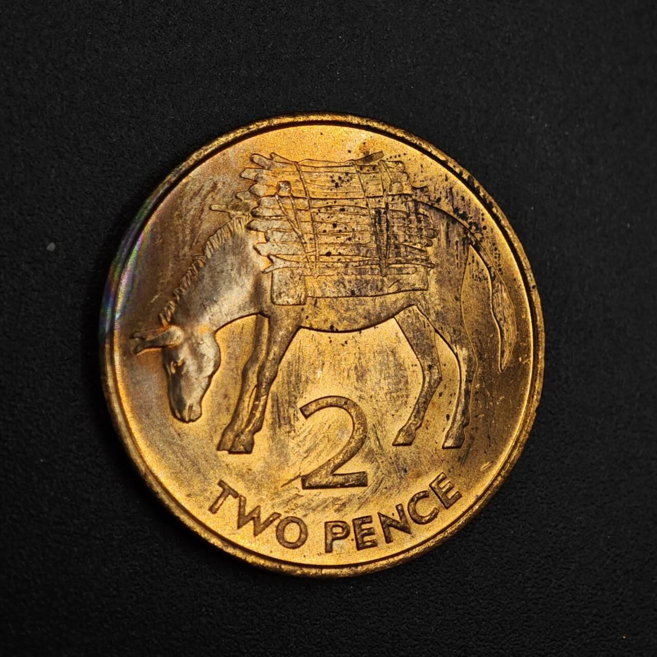 【淘币小摊】实时拍第八百二十六拍   散币场   满百包邮可预留二周 每周一统一发货   圣赫勒拿1984年毛驴2便士铜币