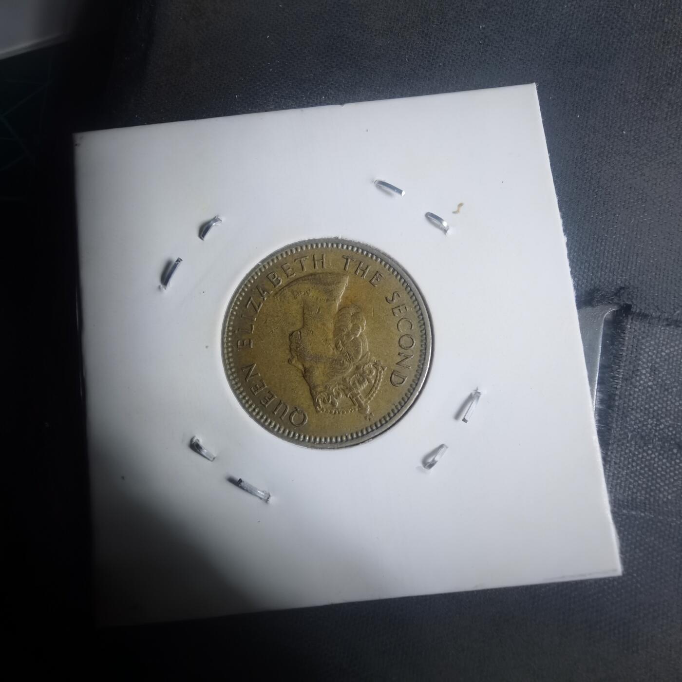 沼泽如烟--第930场