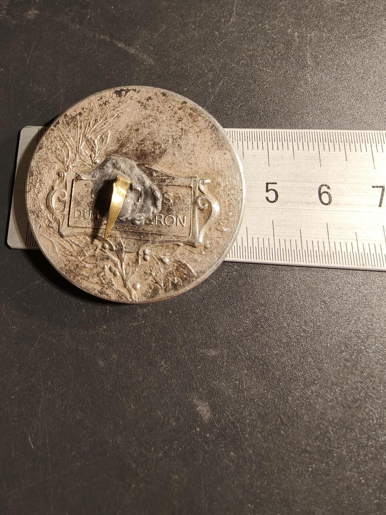 老王徽章第169期 法国宠物犬博览会镀银大铜章    直径44mm.    重量40.8g