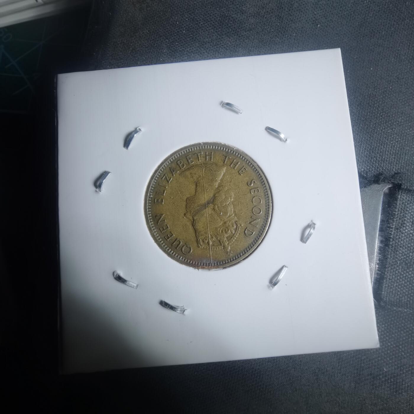 沼泽如烟--第930场