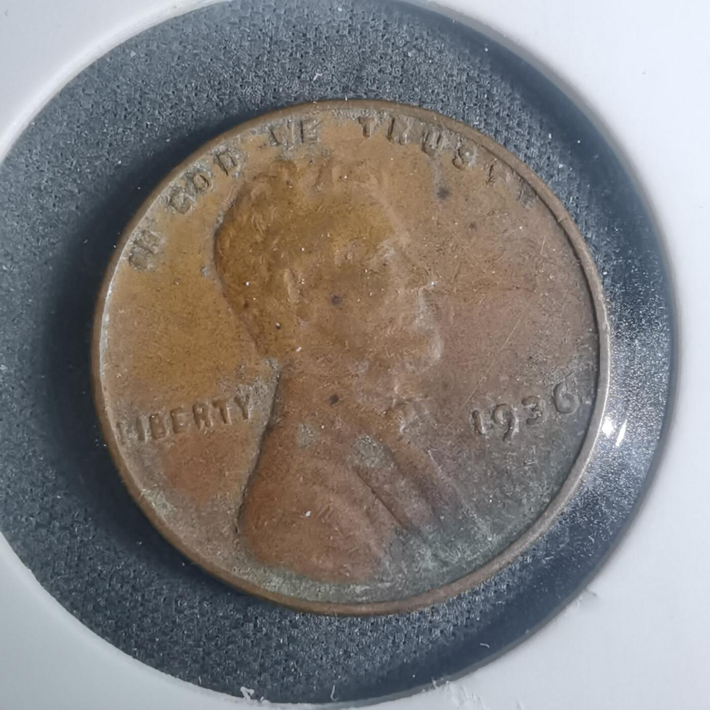 沼泽如烟--第930场