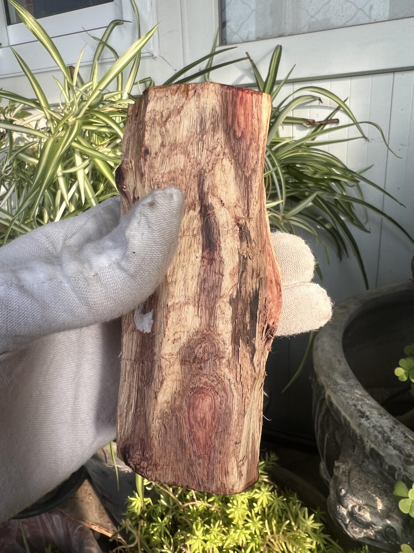 零元拍： 海南黄花梨油梨原料。120/46MM