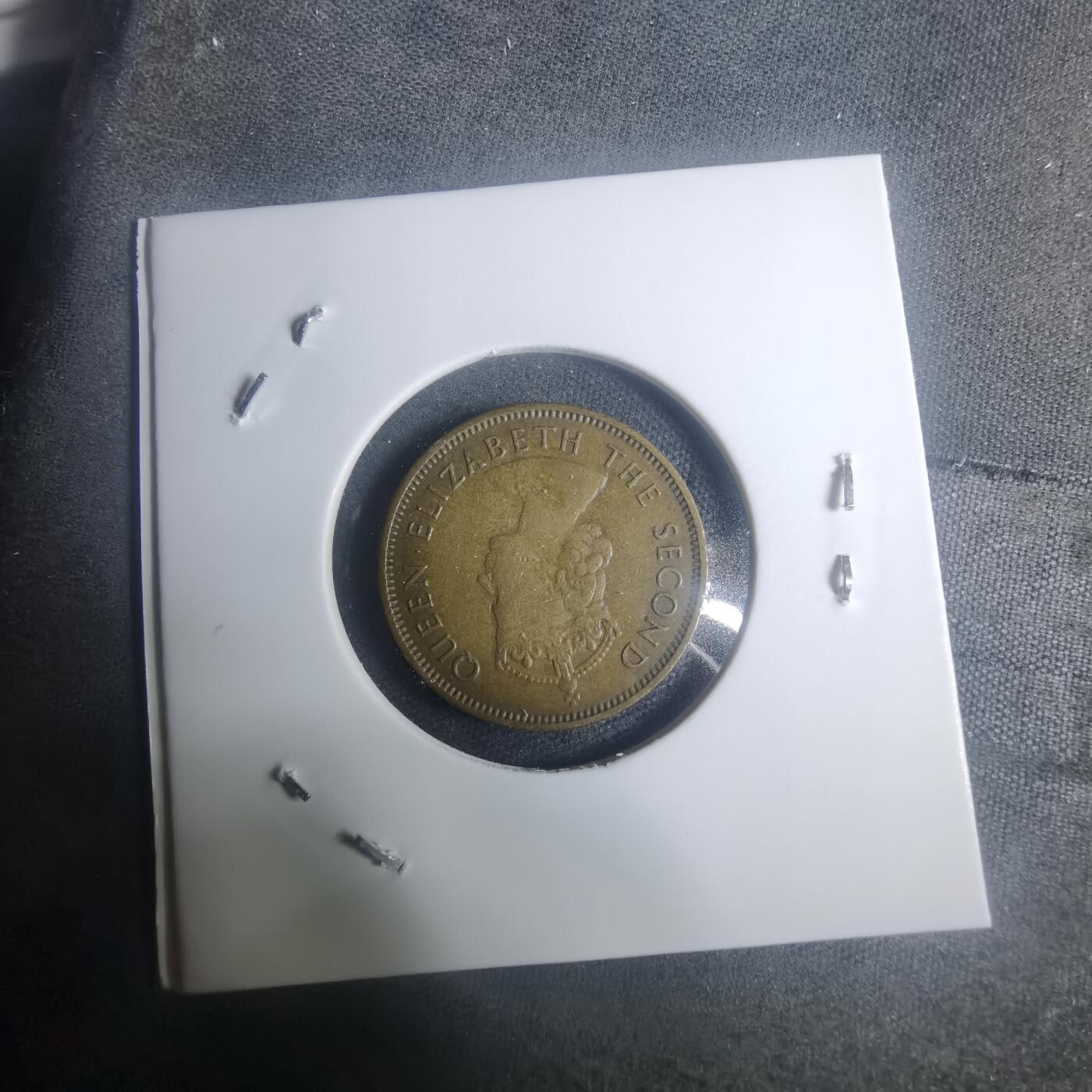 沼泽如烟--第930场