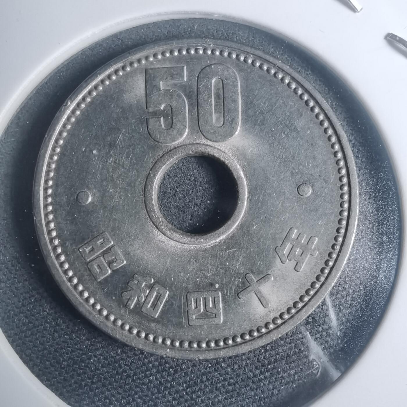 沼泽如烟--第930场