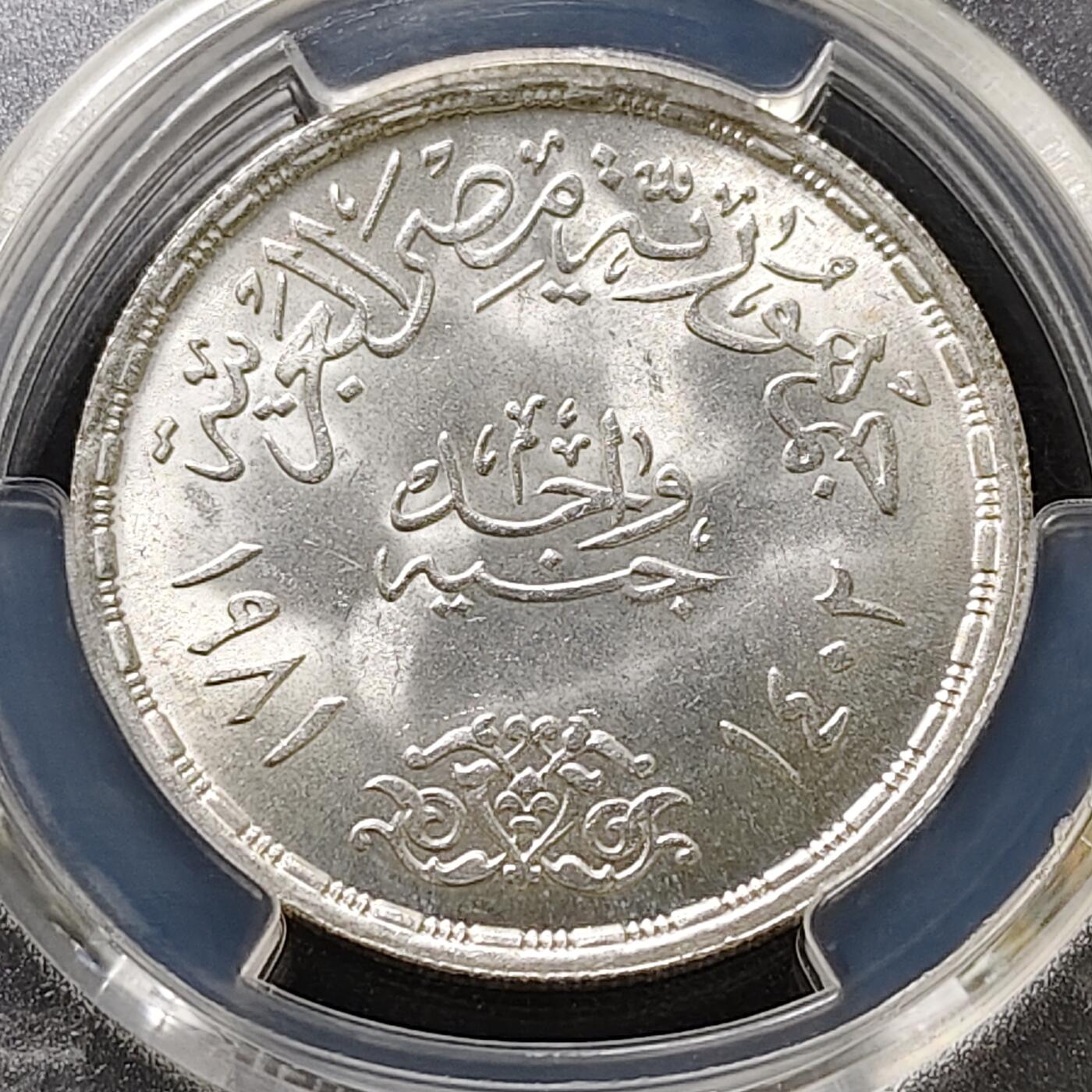 【全场包邮】纯粹捡漏拍487场（免费代拍第24场）