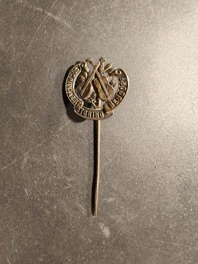 老王徽章第169期 - 意大利都灵曼陀林与吉他协会针插
