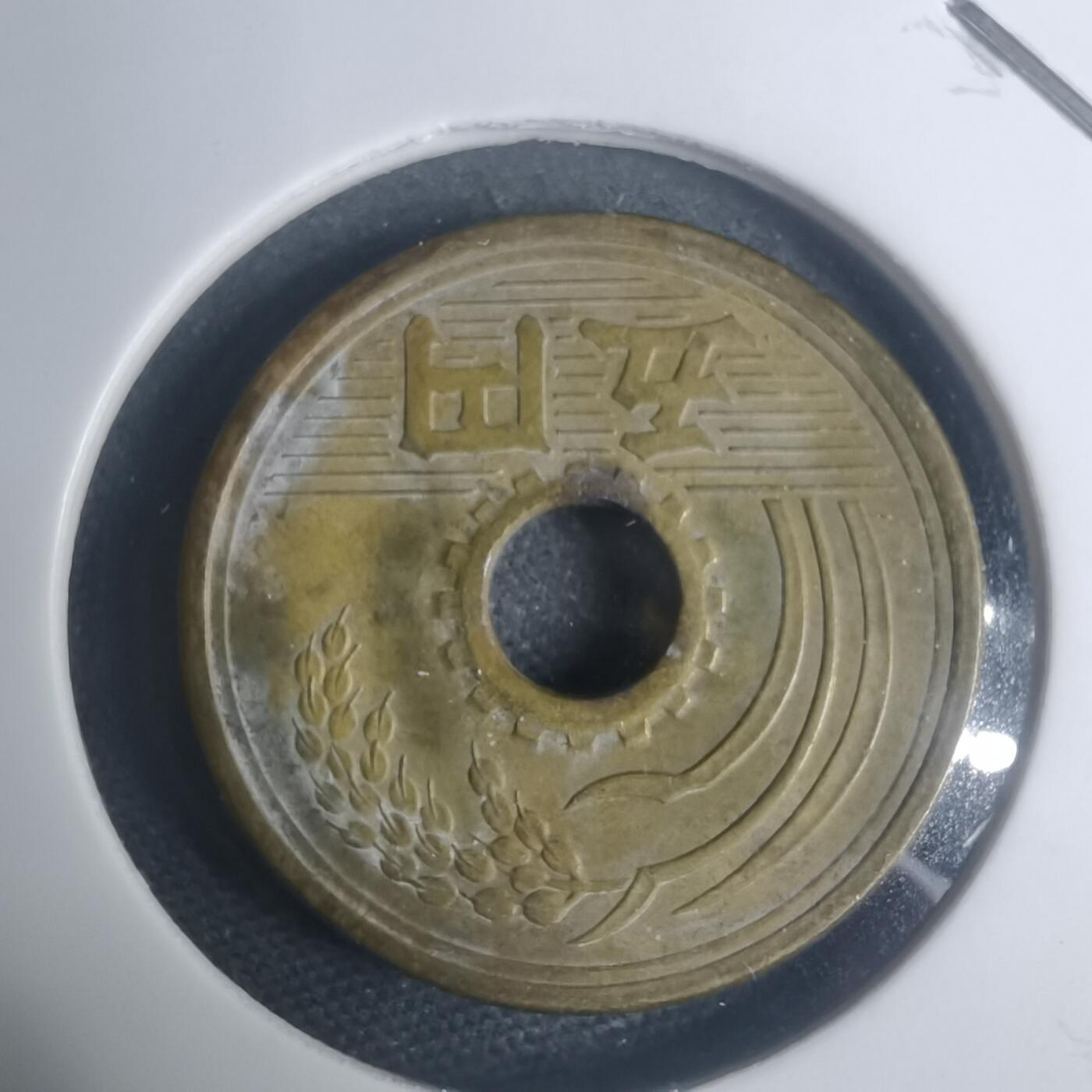 沼泽如烟--第930场