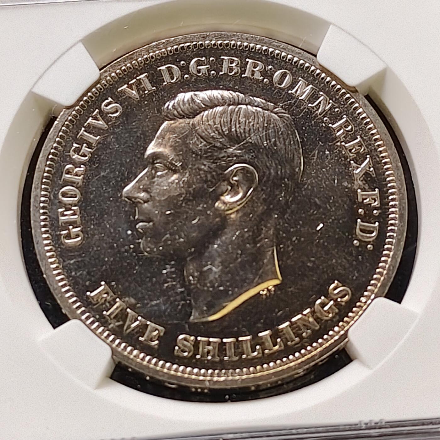 【全场包邮】纯粹捡漏拍487场（免费代拍第24场）