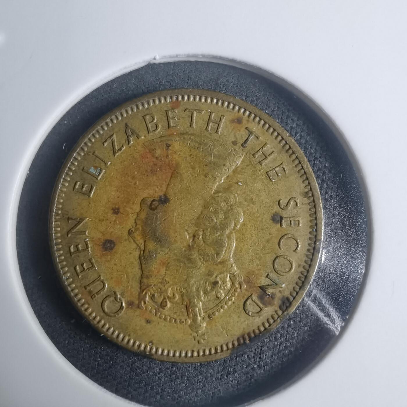 沼泽如烟--第930场