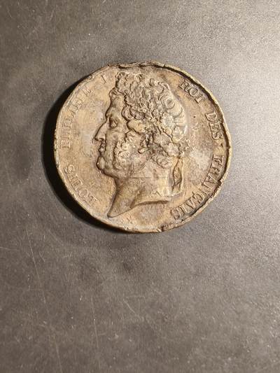 老王徽章第169期 - 法国路易菲利普一世大铜章     直径50mm.    重量55.4g