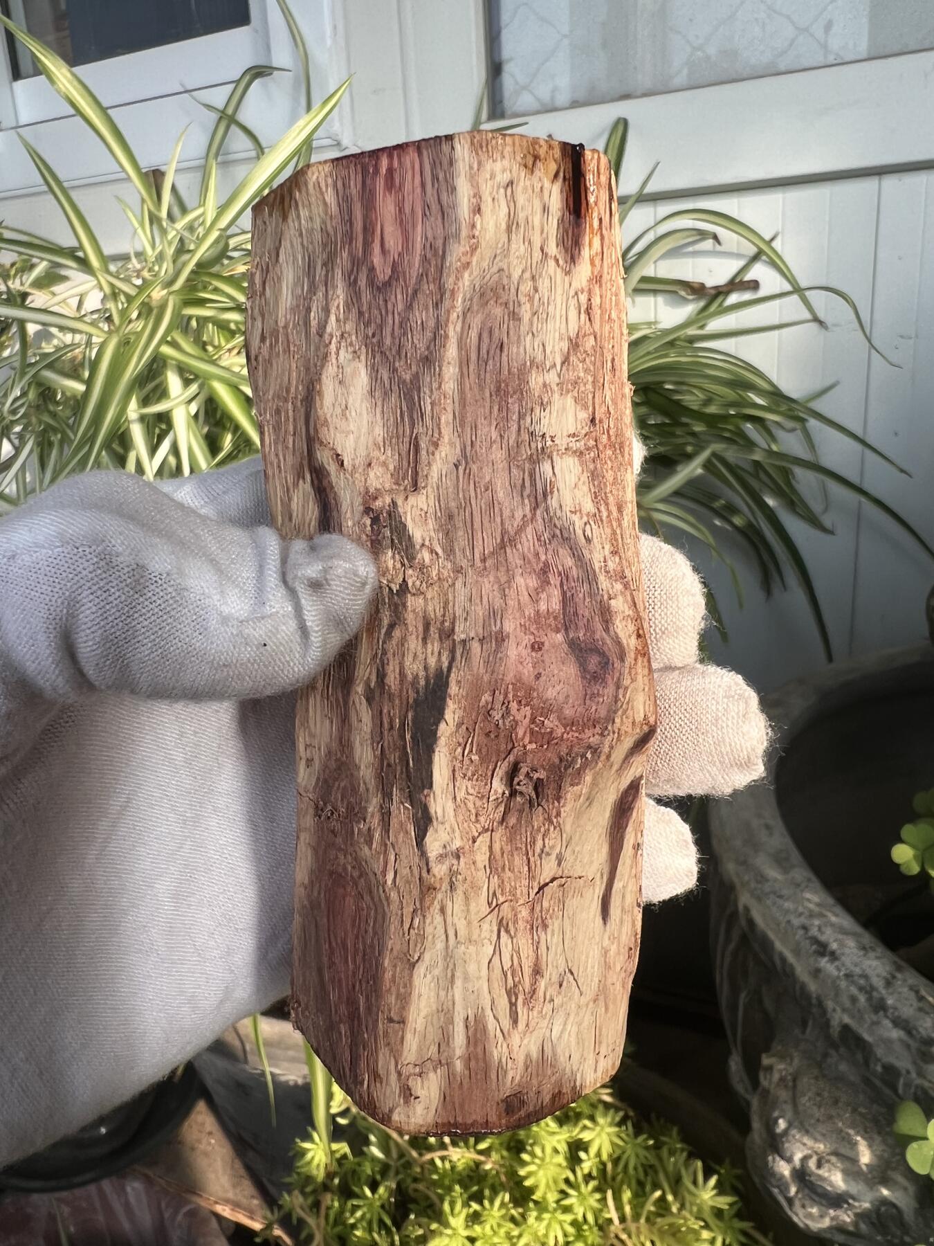 零元拍： 海南黄花梨油梨原料。120/46MM