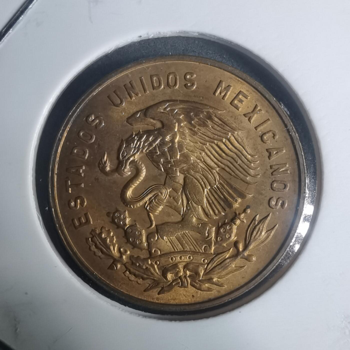 沼泽如烟--第930场