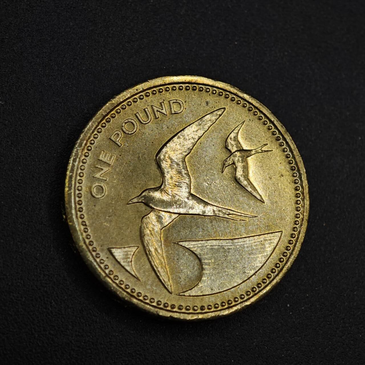 【淘币小摊】实时拍第八百二十六拍   散币场   满百包邮可预留二周 每周一统一发货   圣赫勒拿1984年燕鸥1镑铜币