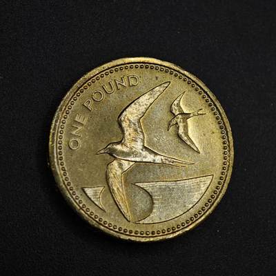 【淘币小摊】实时拍第八百二十六拍   散币场   满百包邮可预留二周 每周一统一发货   - 圣赫勒拿1984年燕鸥1镑铜币