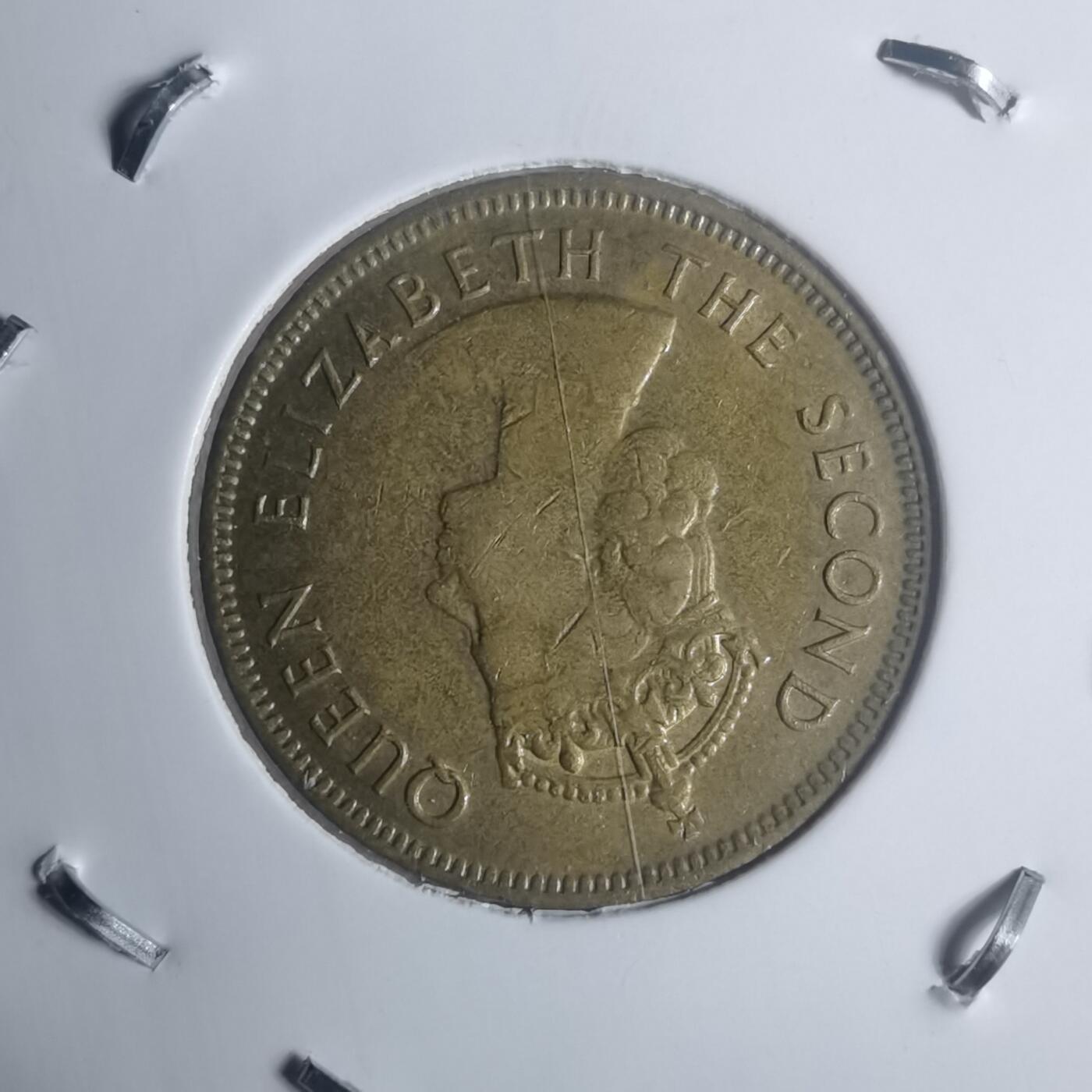 沼泽如烟--第930场