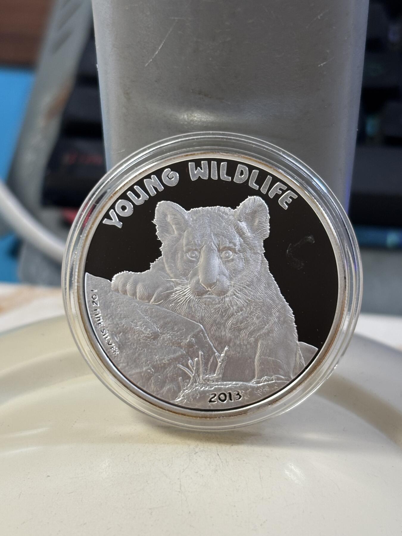 第185期拍卖 库克2013年动物幼崽系列1狮子1盎司精制纪念银币，999银，发行1000枚【银价448】