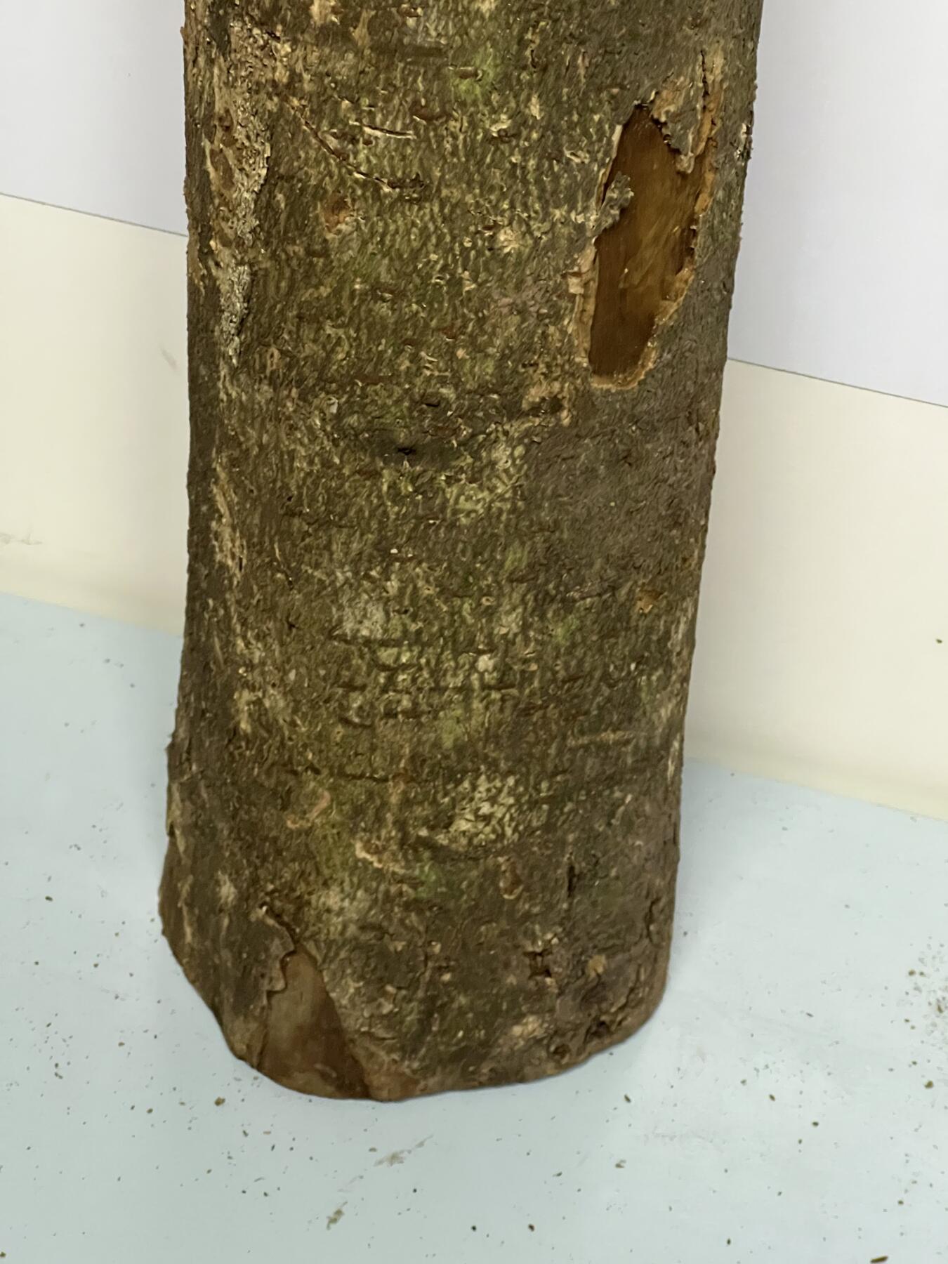 零元拍： D1-4 金丝楠 原木 风水柱 横财（材）带皮， 尺寸：47/12/10.5CM。抛光后金灿灿满香。最后一图为成品效果。如果带点瘤，意味着花纹更漂亮。抛光后金灿灿满香。最后一图为成品效果。