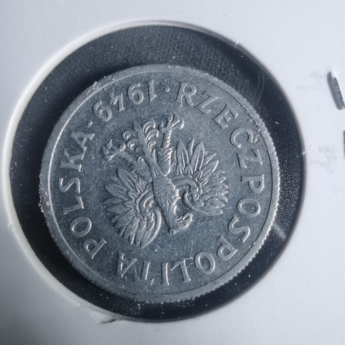 沼泽如烟--第931场