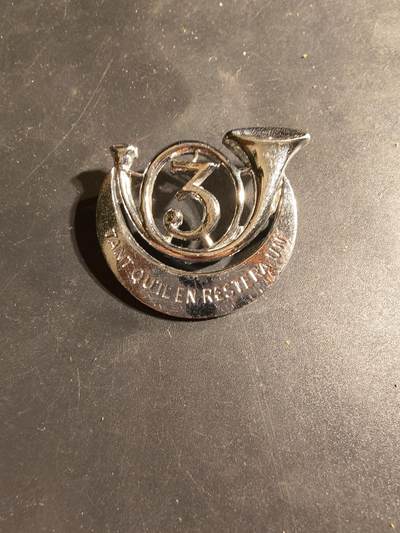 老王徽章第169期 - 法国非洲猎骑兵第3团证章