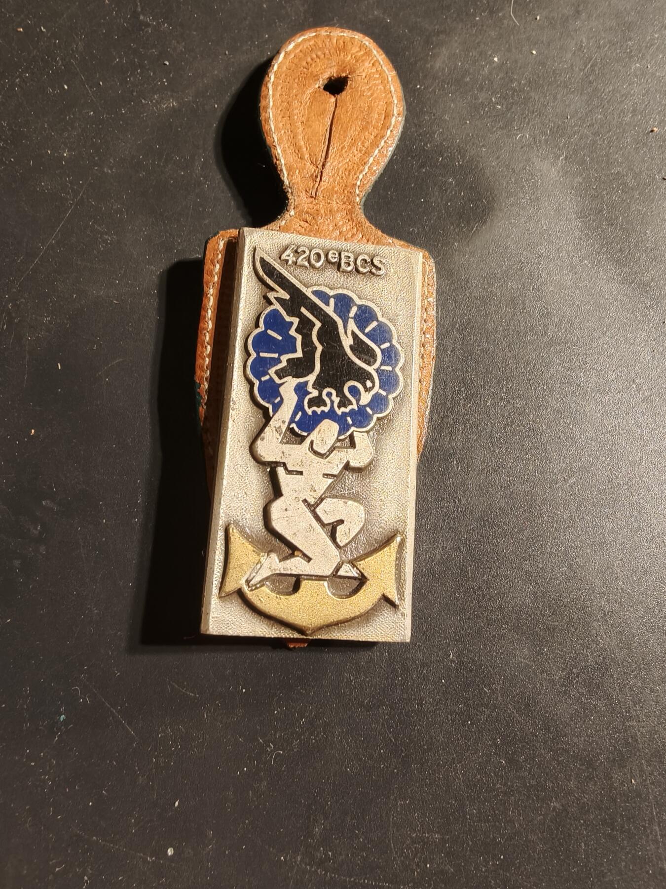 老王徽章第169期 法国第420指挥与支援营证章