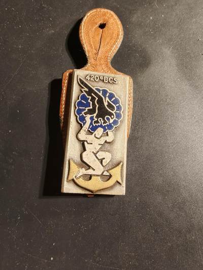 老王徽章第169期 - 法国第420指挥与支援营证章