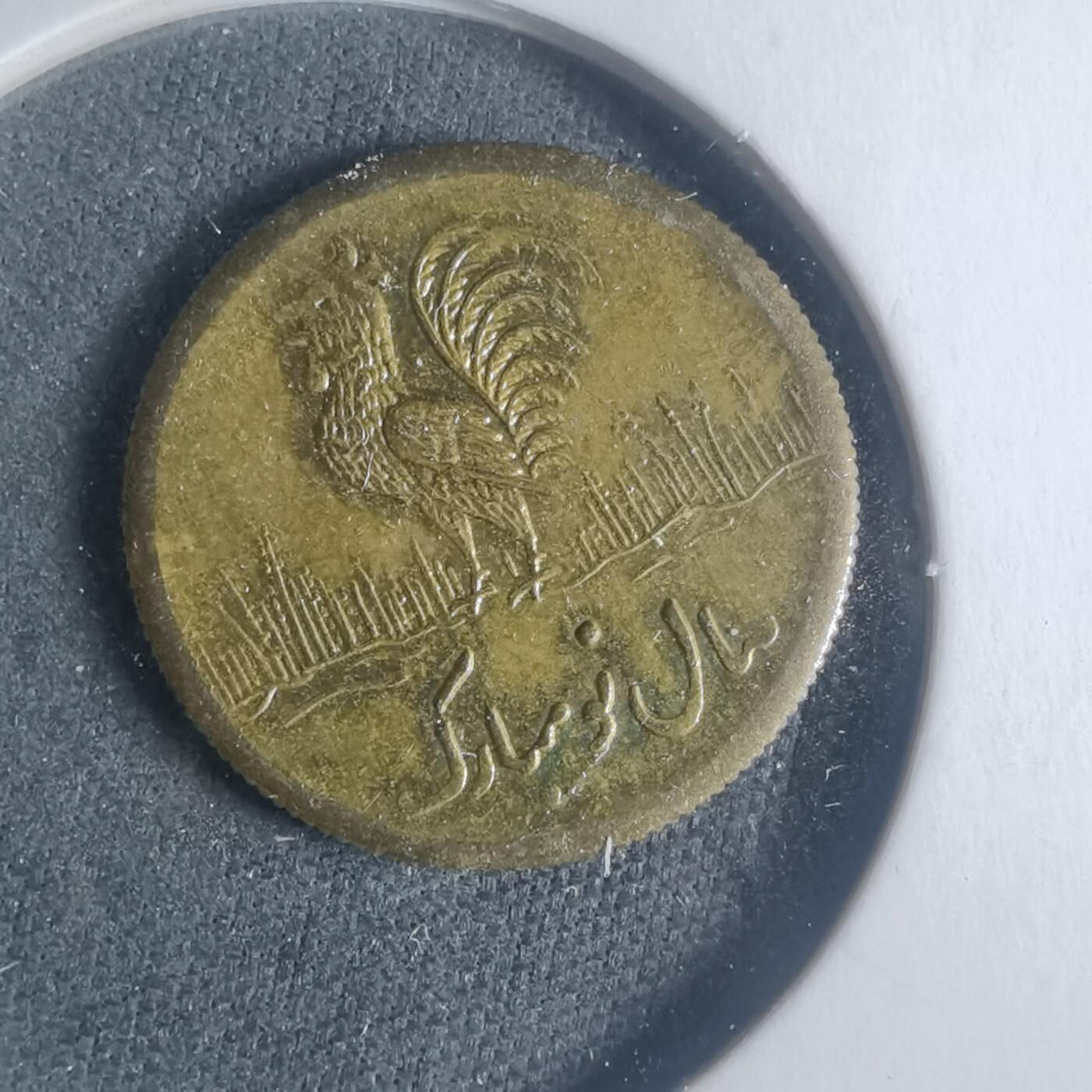 沼泽如烟--第931场 伊朗代币