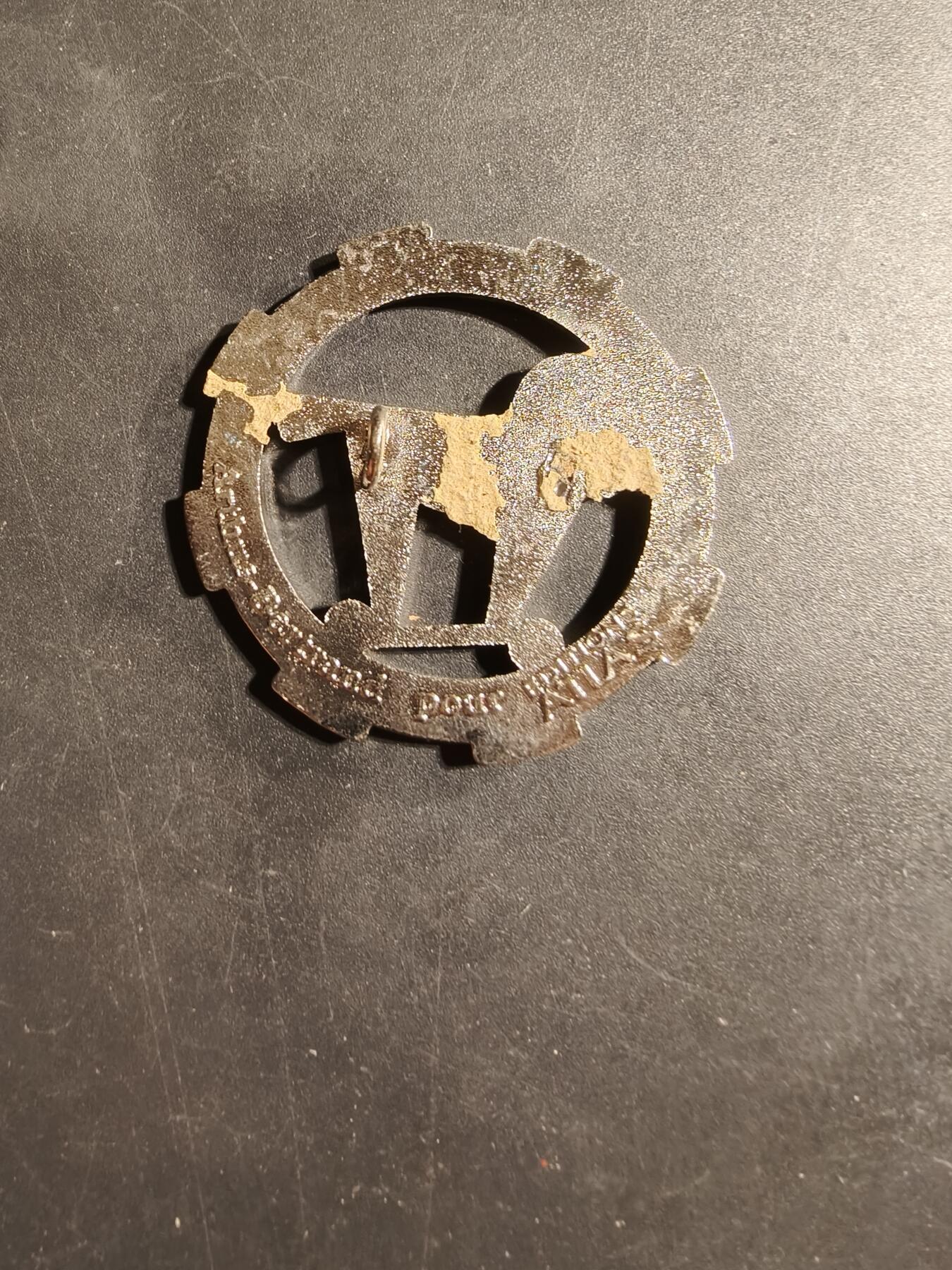 老王徽章第169期